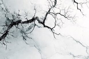 marble veins and tree branches