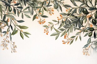 橄榄枝与浆果的植物插画