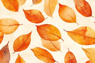 秋日暖阳下的树叶舞蹈