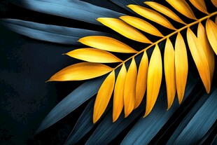 金黄棕榈叶与深蓝叶子的对比