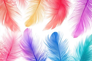 多彩羽毛的梦幻集合