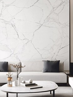 现代简约风格的客厅