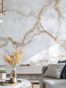 现代简约风格客厅 白色大理石纹理背景墙