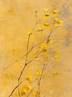 黄色花朵与裂纹背景