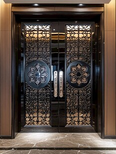 豪华黑金门设计