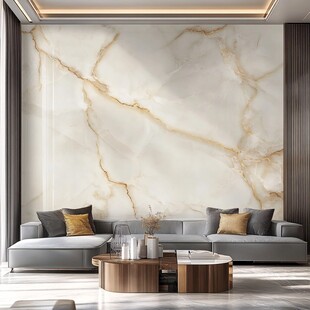 现代客厅 marble wall and grey sofa