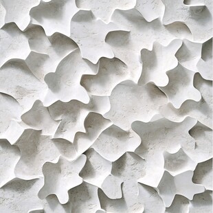 抽象白色几何图案