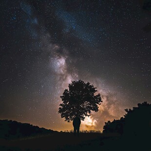 孤独的守护者 银河之下