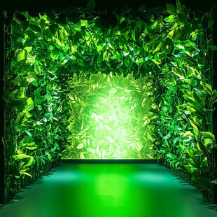 绿色隧道 自然之旅