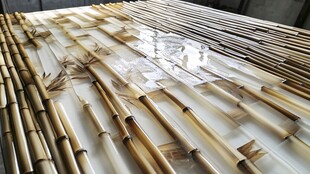 竹节与透明液体的相互作用