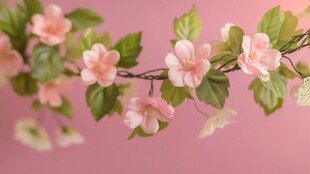粉色花卉与绿叶的艺术性组合