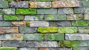 古老的石墙覆盖着苔藓和地衣