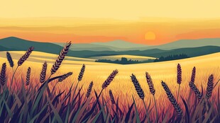 麦田日落风景画