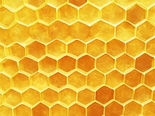 蜂巢六边形结构