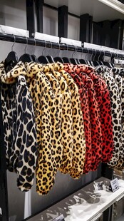 豹纹短款外套潮流展示