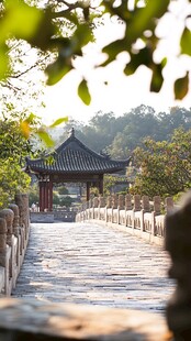 古韵石桥 绿意盎然