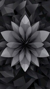 黑白几何花卉图案