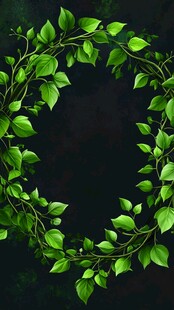 绿色植物环绕的神秘黑色背景