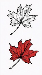 枫叶的艺术表现