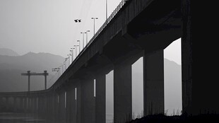 雾蒙蒙的长桥与飞翔的鸟儿