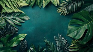 绿色热带叶子在青蓝色背景上