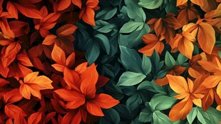 秋日色彩斑斓的叶子