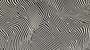 抽象黑白线条图案