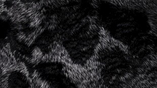 动物毛皮纹理