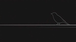 黑色背景上的白色线条鸟