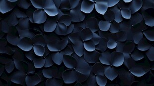 黑暗中的花卉艺术