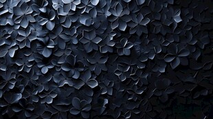 黑暗中的花卉艺术