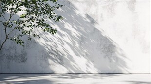 阳光下的白色墙壁和绿色树叶