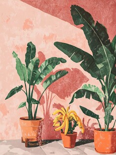 室内植物与香蕉的和谐共生