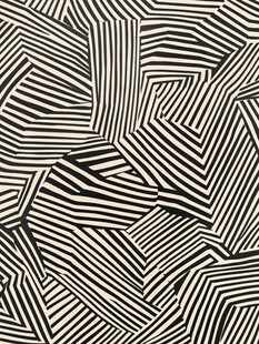 黑白条纹抽象图案