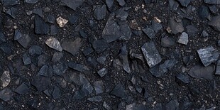 黑暗中的自然之美