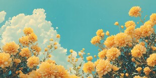 橙色花海与蓝天白云