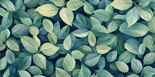 绿色树叶的密集覆盖