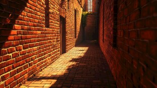 阳光下的砖墙小径