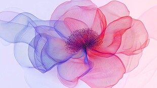 多彩花卉数字艺术