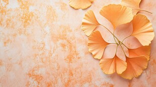 秋日暖阳下的银杏叶