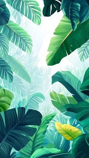 热带雨林的绿色天空