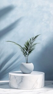棕榈植物 蓝色墙壁 白色大理石 简约风格