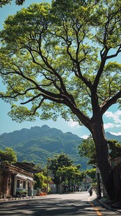 绿色山谷中的宁静乡村街道