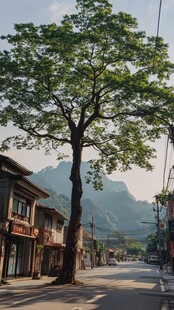 乡村山脚下的宁静时光