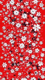 鲜艳红色背景下的白色小花