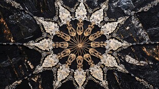 几何图案与自然元素的交织