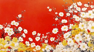 红色背景上的白色花朵