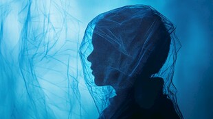 蓝色面纱下的轮廓