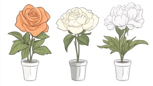 绚烂花卉的数字艺术展