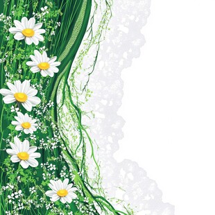 春日清新 绿意盎然